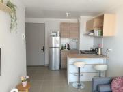 Top Villarrica Top Villarrica