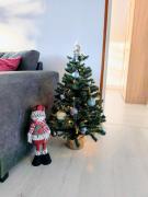 Top Sainte-Marie-aux-Mines