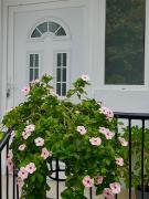 msapartman msapartman