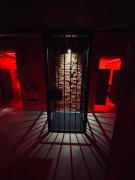 Top Panevėžys Top Panevėžys