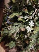 Top Bouillon Top Bouillon