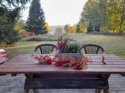 Top Zyzdrojowy Piecek Top Zyzdrojowy Piecek