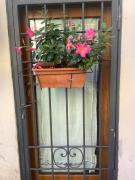 Top Poggio Alla Croce