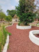 Top San Francisco Magú