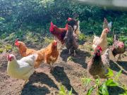 Top Hofheim in Unterfranken