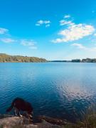 Top Plonéour-Lanvern