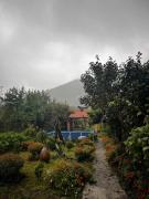 Jibghashvilebis house