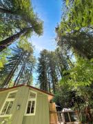 Top Guerneville