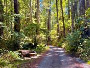 Top Guerneville