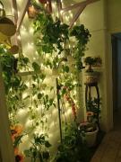 Top Gravina di Catania