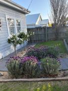 Seaside Village Cottage Charm