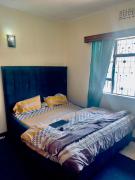 safari adventure homes