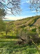 Top Bad Windsheim