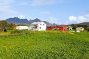 Himmelstein, cosy house in Lofoten