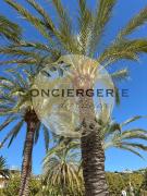 Duplex port du Lavandou