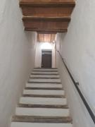 Top Suvereto