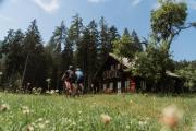 Top Werfen