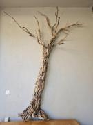 Top Fília Top Fília