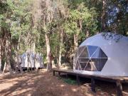 Top Atacalco Top Atacalco