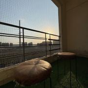 Top Greater Noida
