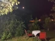 Apartments Željka-Dobrota