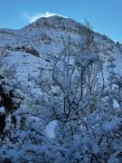 Top San Alfonso Top San Alfonso