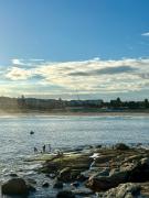 Bondi Beach Apartment