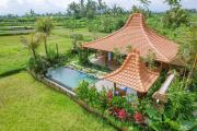 Top Ubud