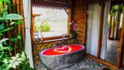 Top Ubud