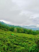 Top Kotagiri