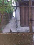 NEW ORANGE APARTMEnt