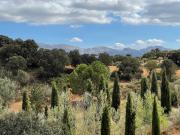 Top Villanueva del Rosario