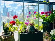 Extraordinary holiday stay for Melbourne explore