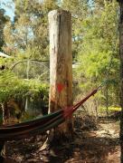 Rancho Relaxo Tiny House - in town sanctuary