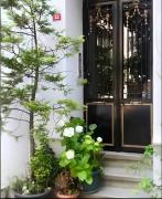 A million dollar view of the Bosporus and balcony