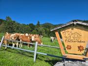 Top Ramsau