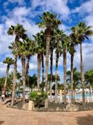 Top Corralejo