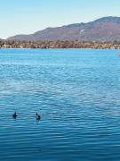 Top Magog-Orford