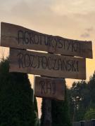 Top Rogóźno Top Rogóźno