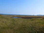 Top Millinge