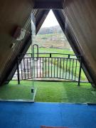 ACN Strawberry Cabana