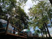 NATUR - Krabi Campsite Glamping & Camping