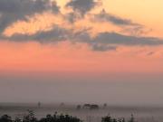 Ut ânker fan de Jong