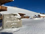 Alpine pasture in the Zillertal mountains