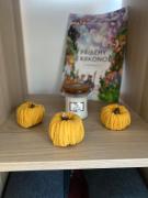 Apartmán Na Manhattanu