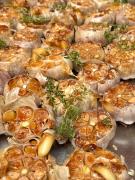 Top Międzygórze Top Międzygórze