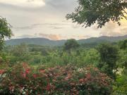 Top Ban Khao Dok Mai Top Ban Khao Dok Mai