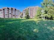 Studio idéal pour 4, au pied des pistes avec grande terrasse - FR-1-546-54