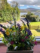 Modern bright detached home just a short stroll from town