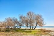 Top Mamaia Nord Top Mamaia Nord
